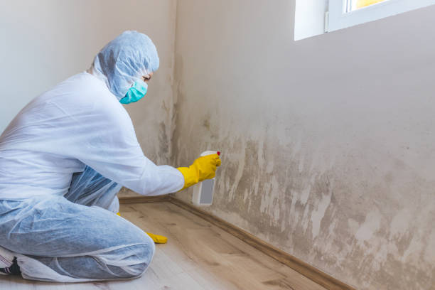 Professional mold removal team in Atlanta