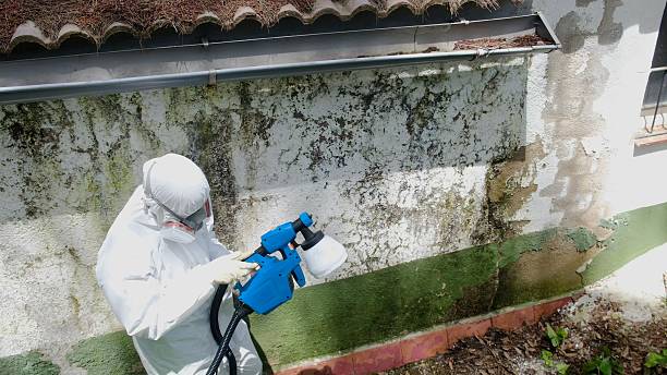 Mold Removal service in Atlanta